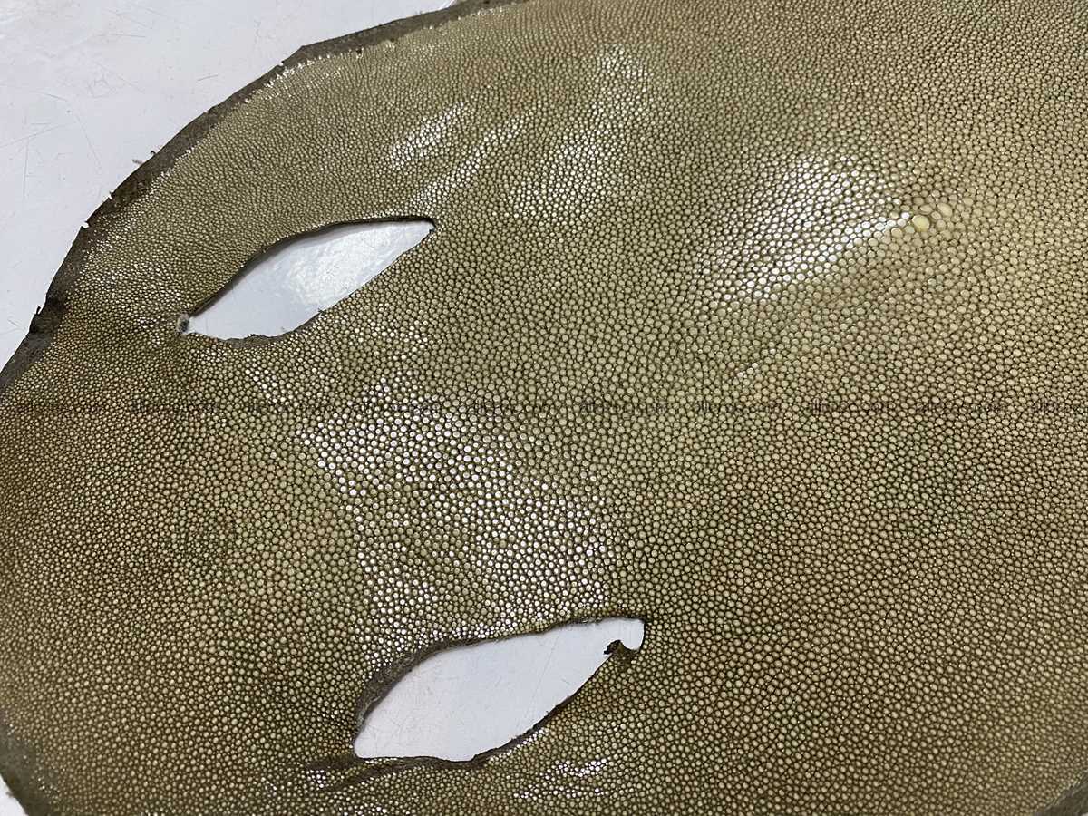 Polished stingray leather 7 inches round shape 2361 Foto 1