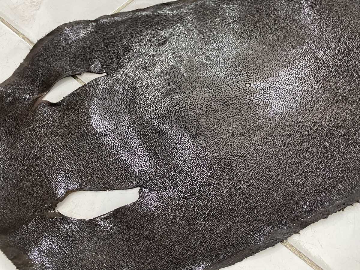 Polished stingray leather 10 inches round shape 2358 Foto 1