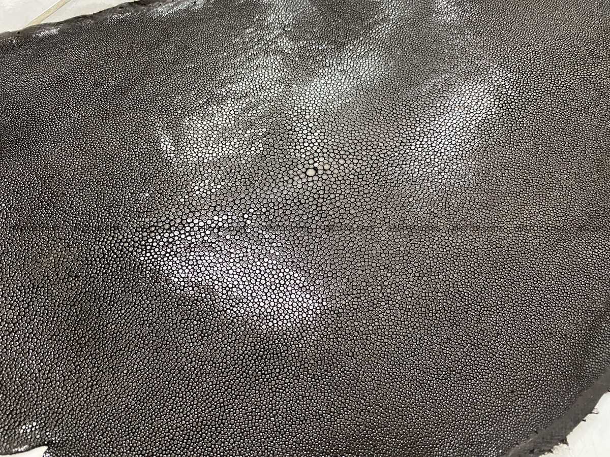 Polished stingray leather 10 inches round shape 2358 Foto 2