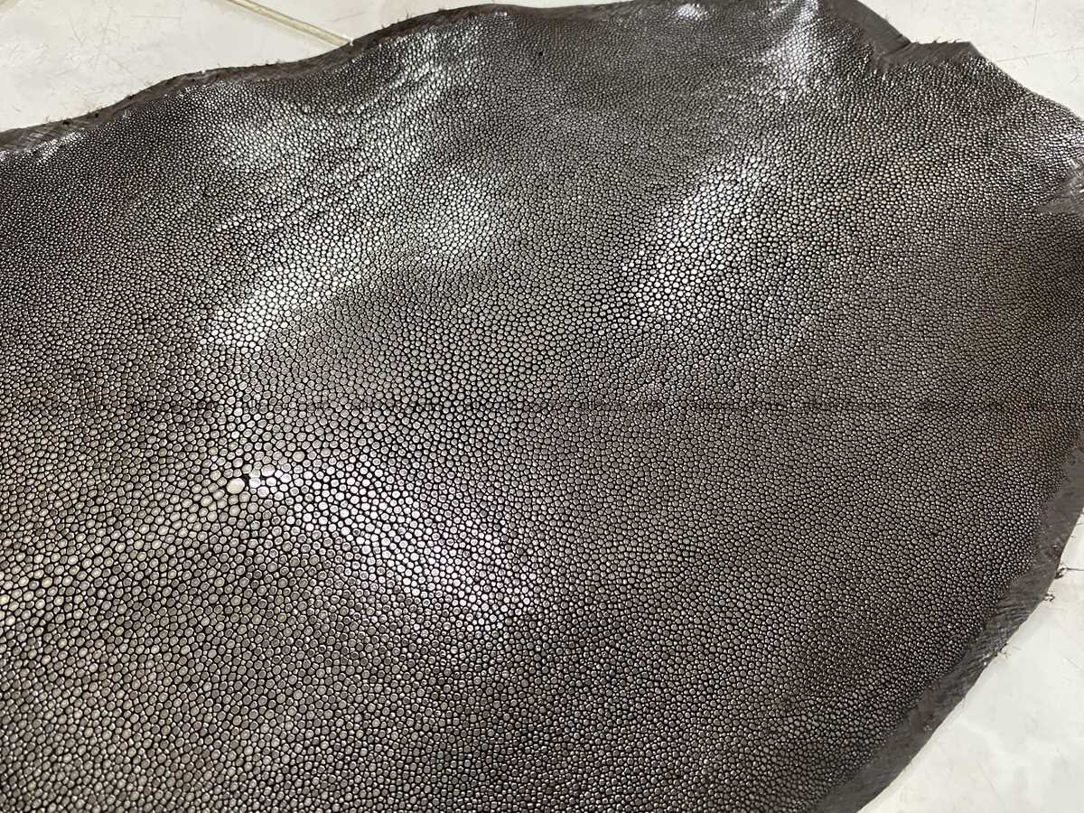Polished stingray leather 10 inches round shape 2358 Foto 3
