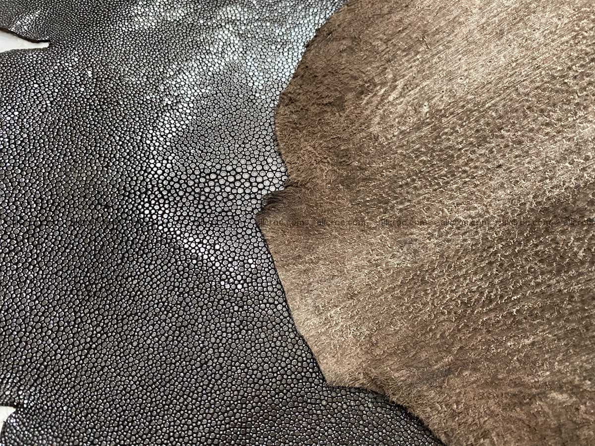 Polished stingray leather 10 inches round shape 2358 Foto 4