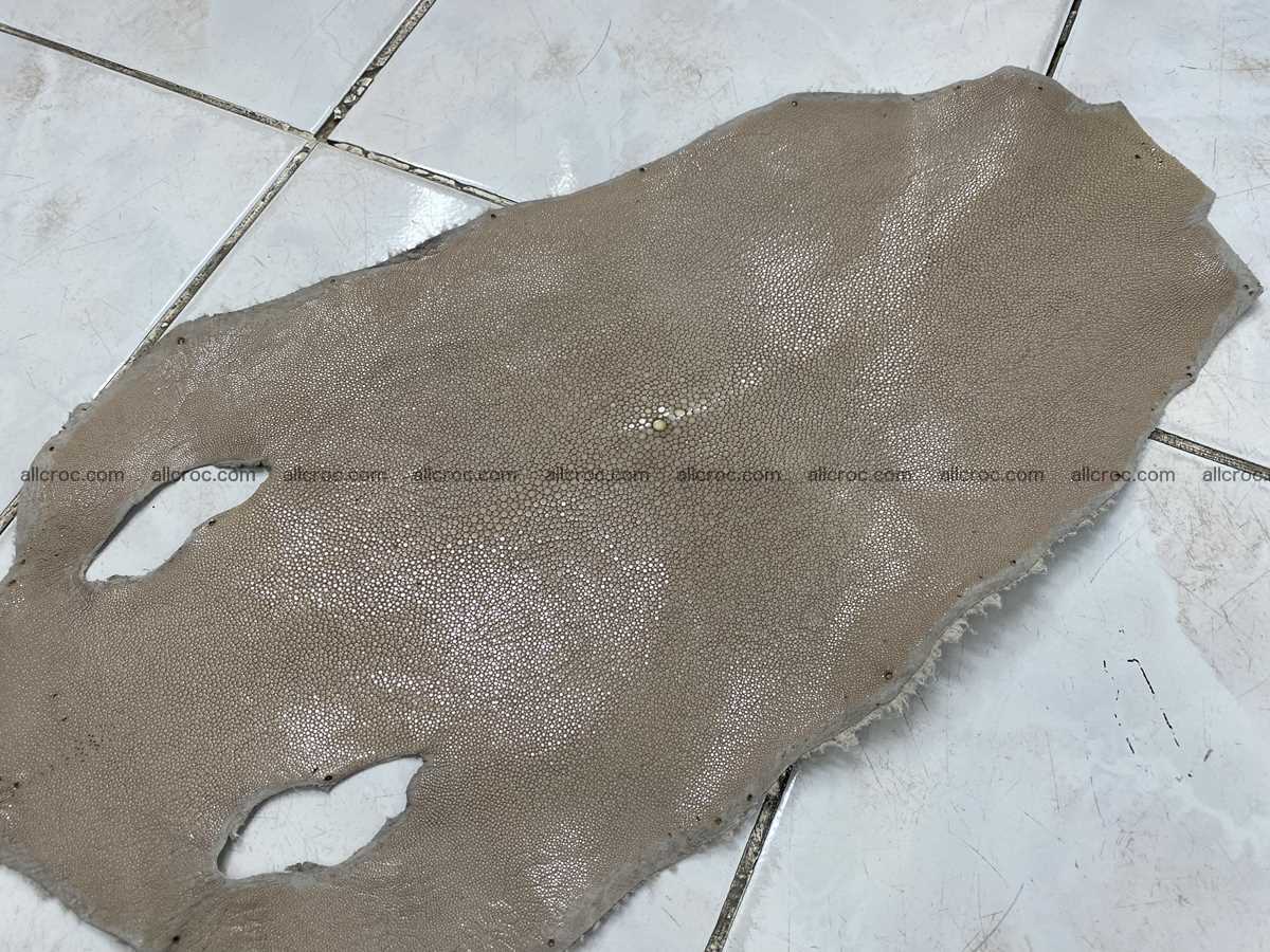 Polished stingray leather 12 inches round shape 2362 Foto 0