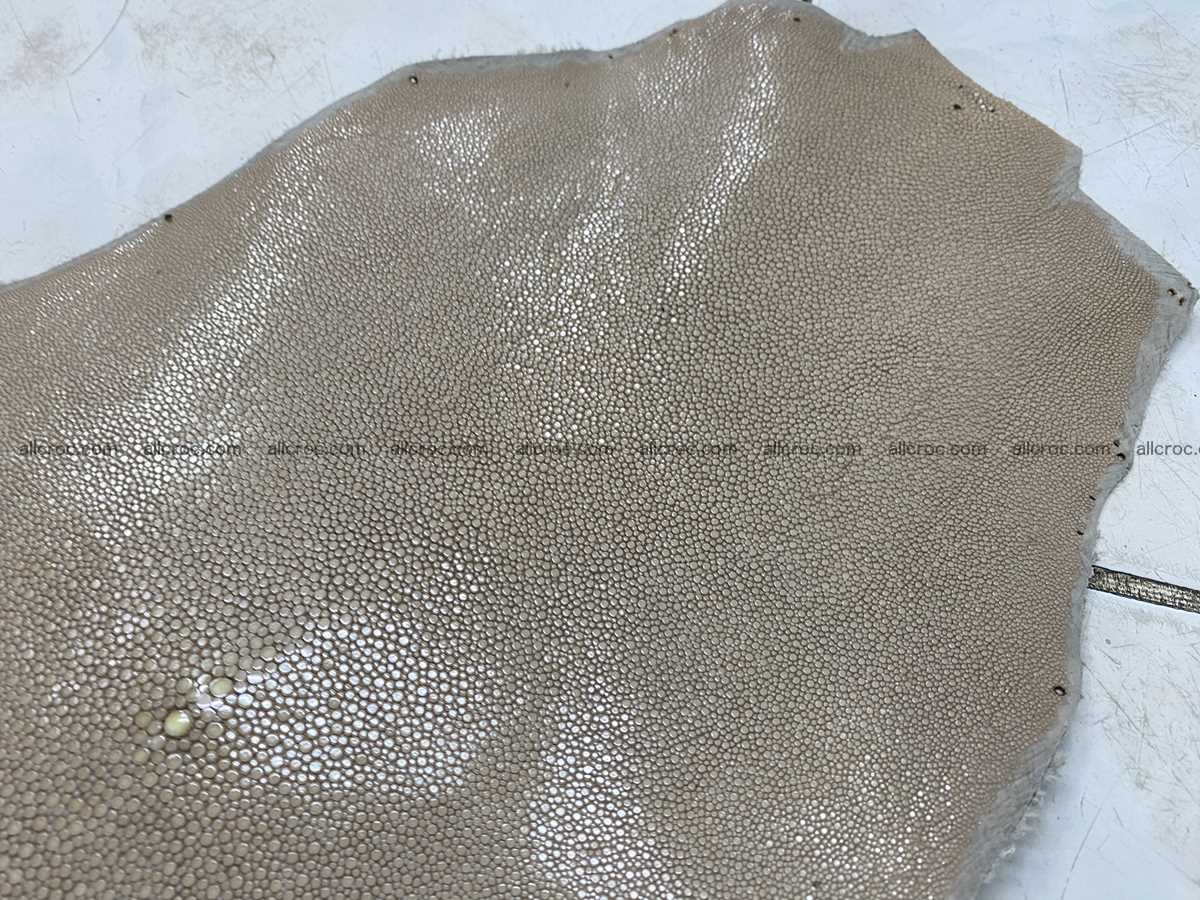 Polished stingray leather 12 inches round shape 2362 Foto 3