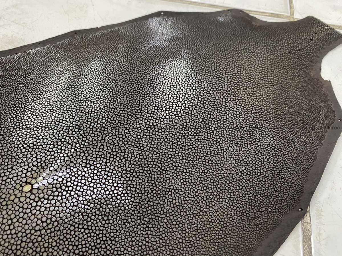 Polished stingray leather 9 inches round shape 2357 Foto 3