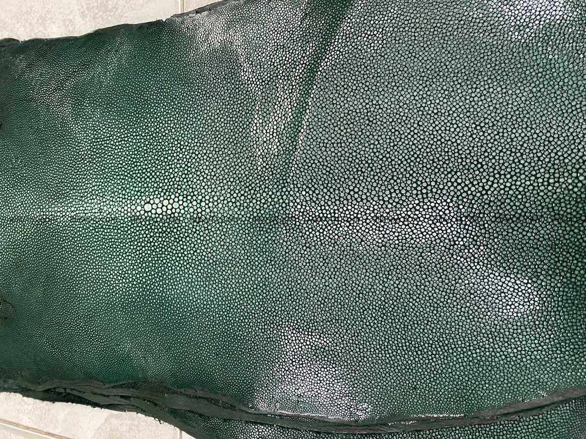 Polished stingray leather 7 inches long shape 2404 Foto 1
