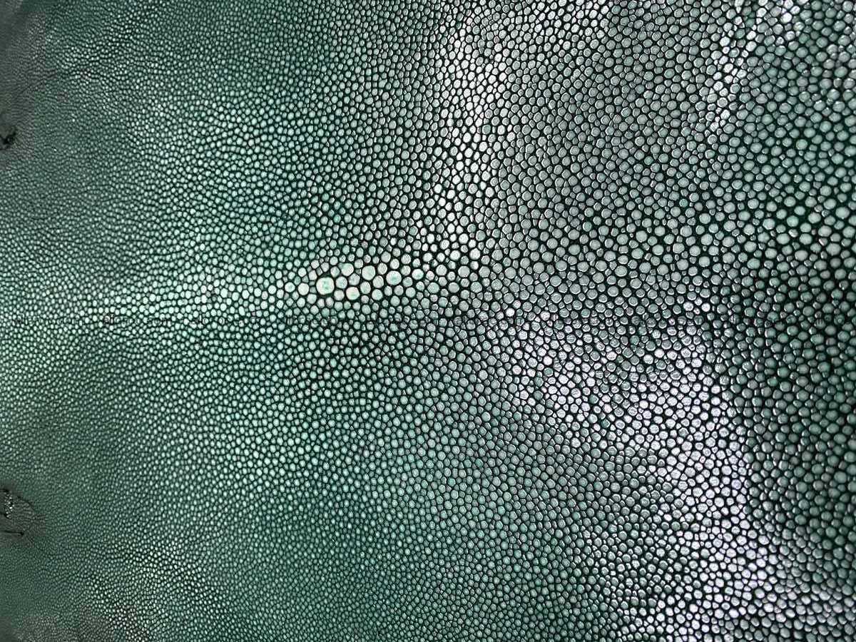 Polished stingray leather 7 inches long shape 2404 Foto 0