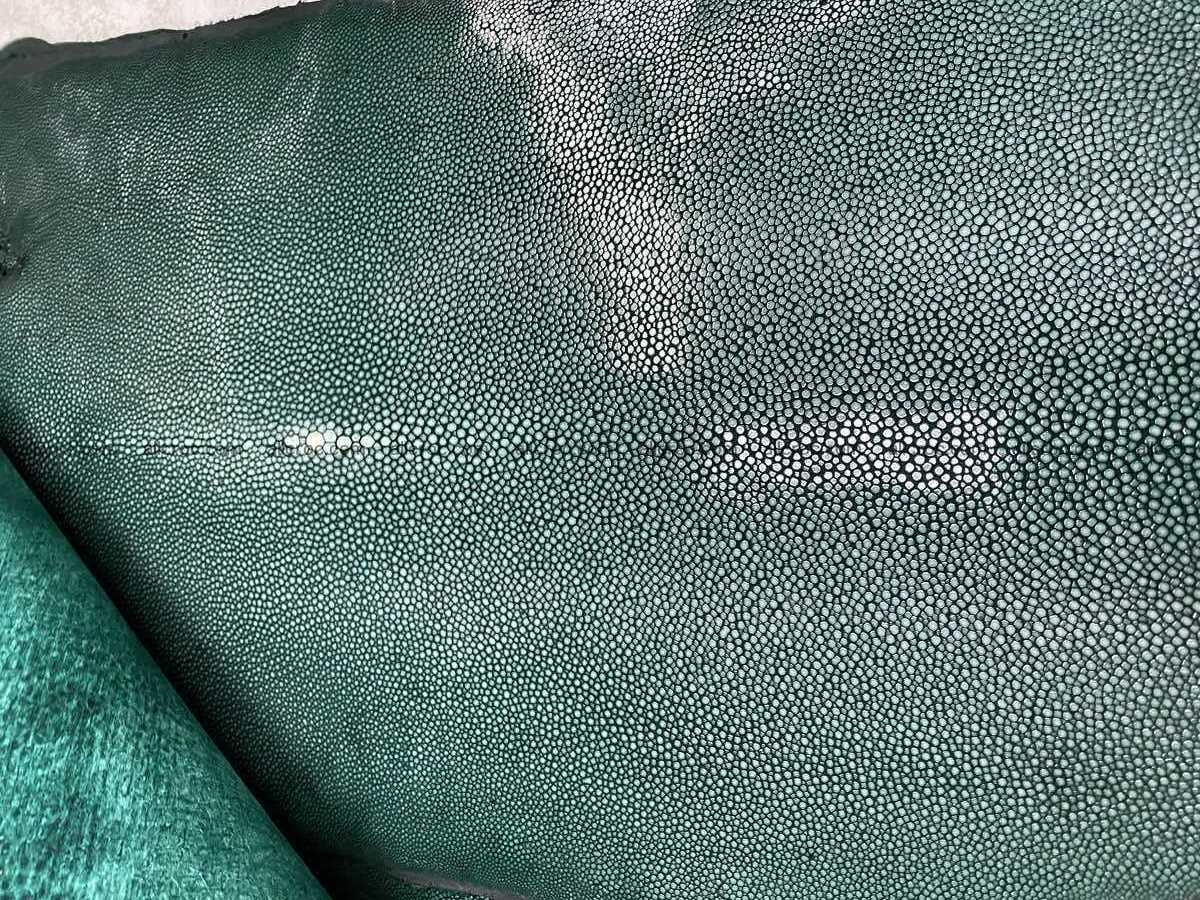 Polished stingray leather 7 inches long shape 2404 Foto 2