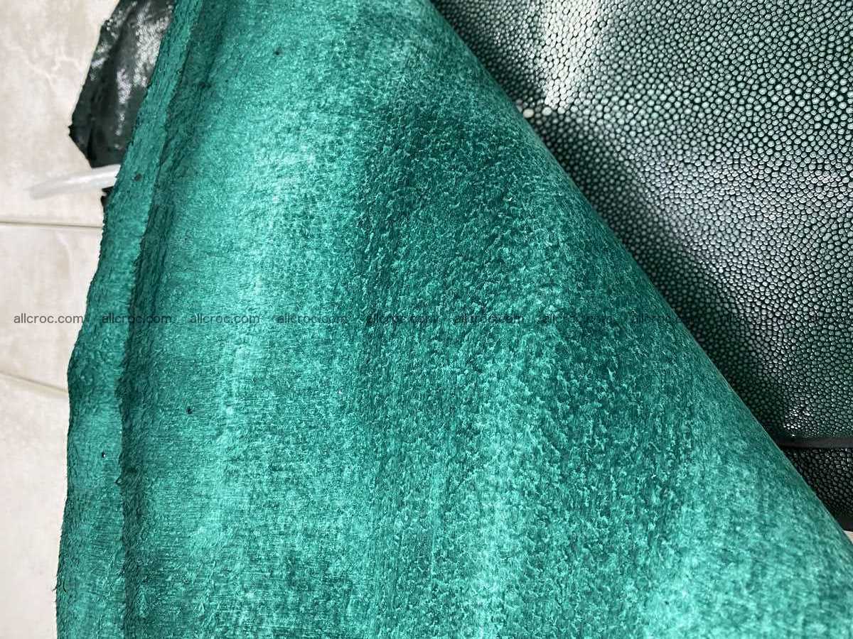 Polished stingray leather 7 inches long shape 2404 Foto 3