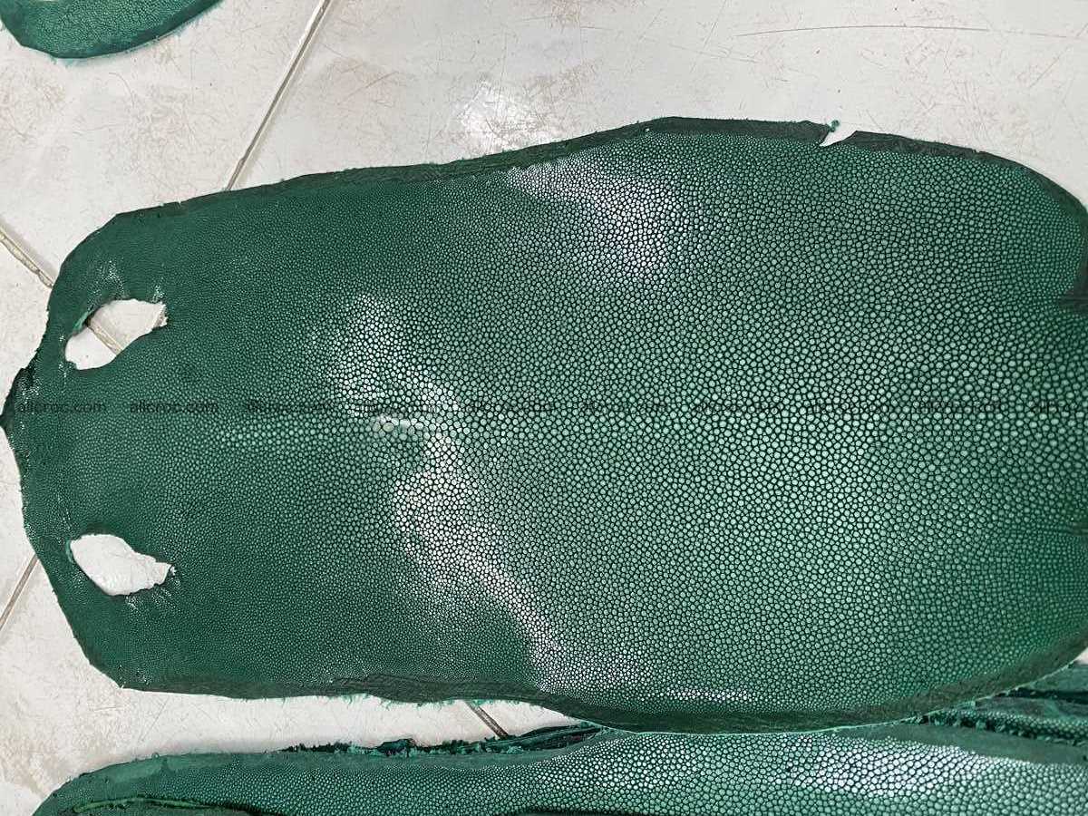 Polished stingray leather 8 inches long shape 2385 Foto 0