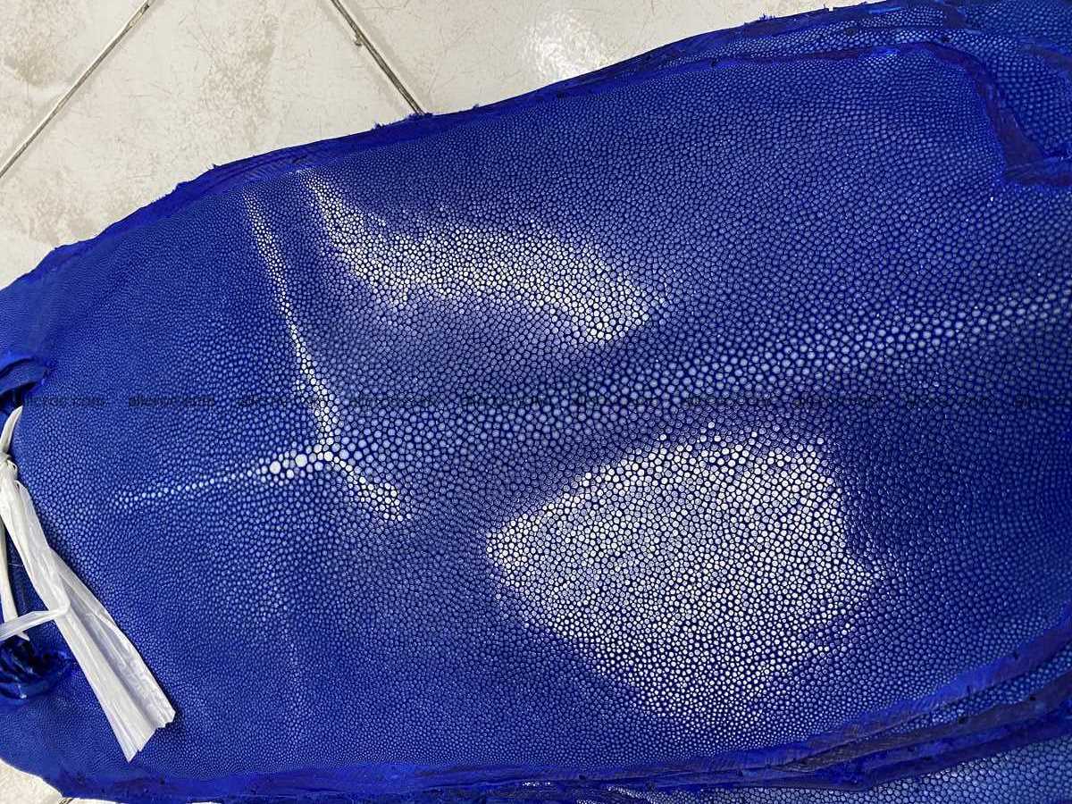 Polished stingray leather 6 inches long shape 2395 Foto 0