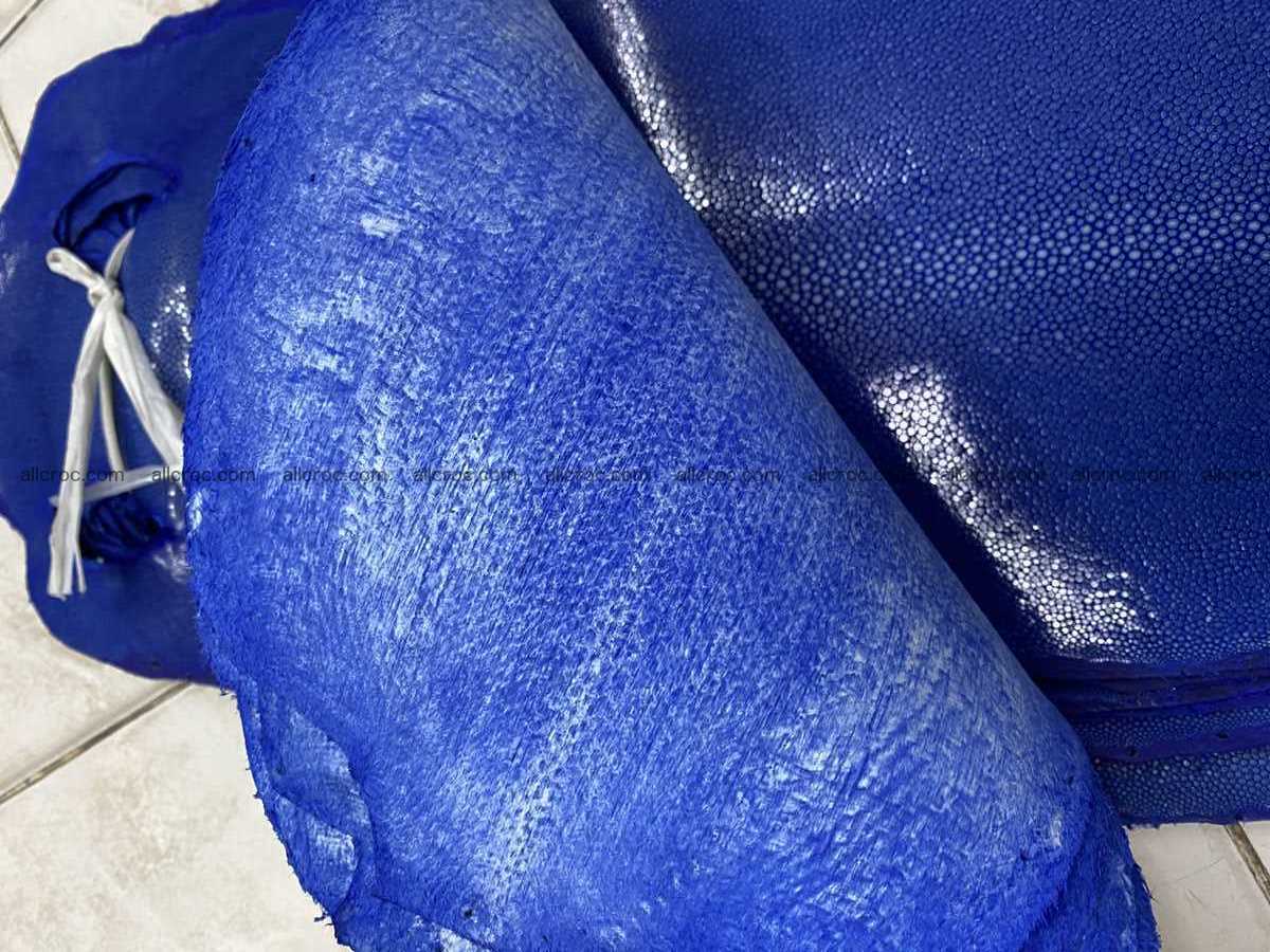 Polished stingray leather 6 inches long shape 2395 Foto 2