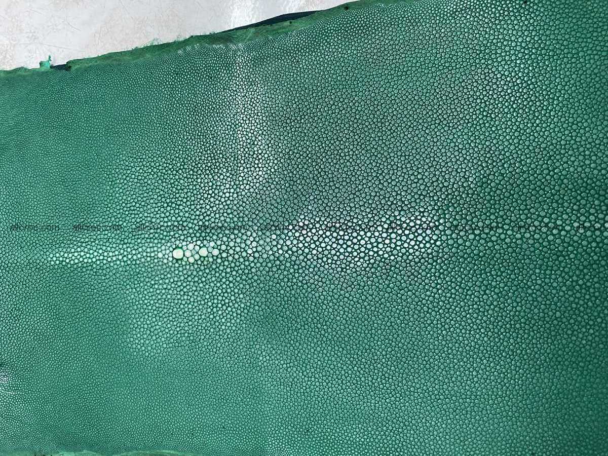 Polished stingray leather 8 inches long shape 2405 Foto 0