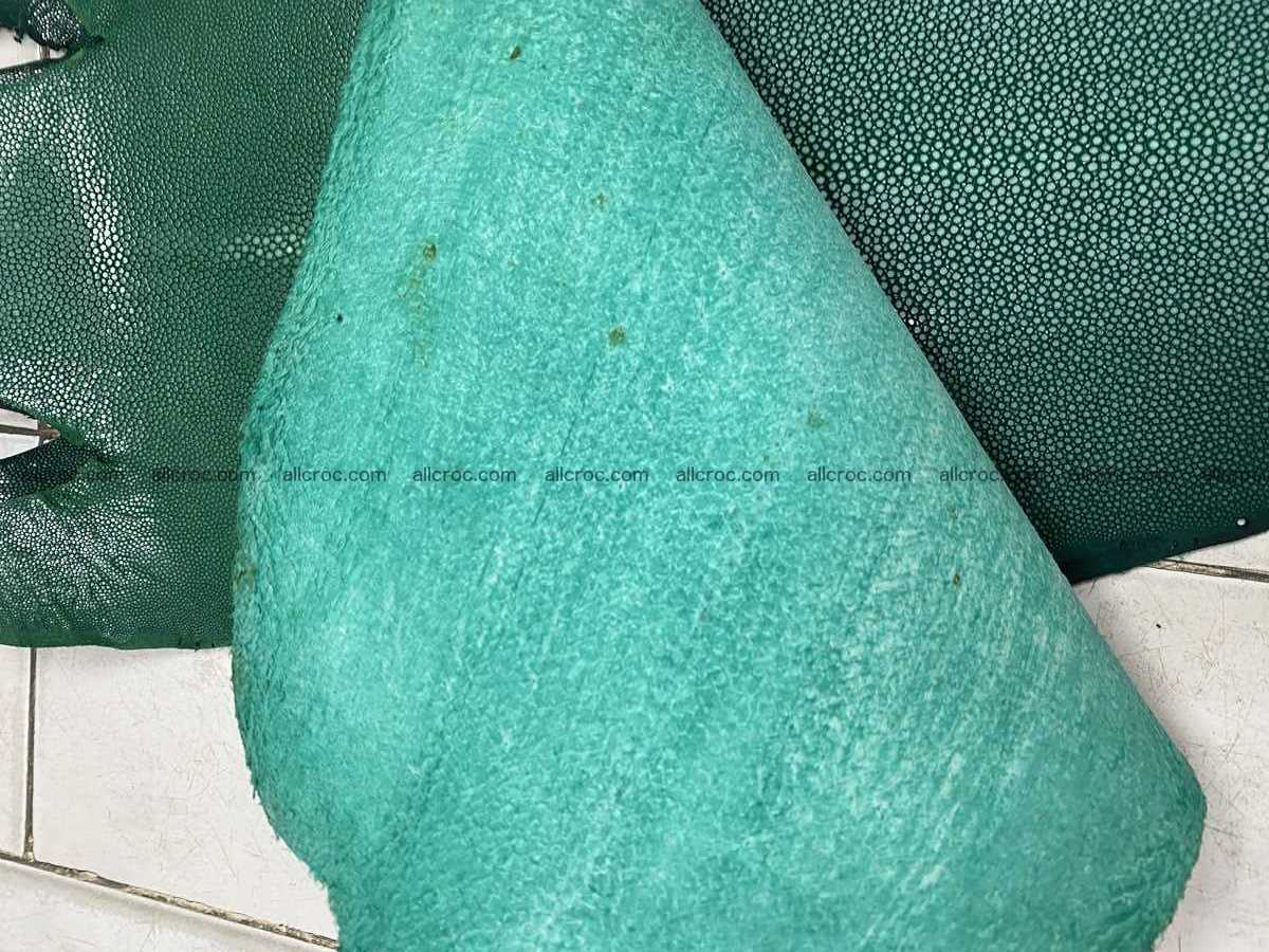 Polished stingray leather 8 inches long shape 2405 Foto 1