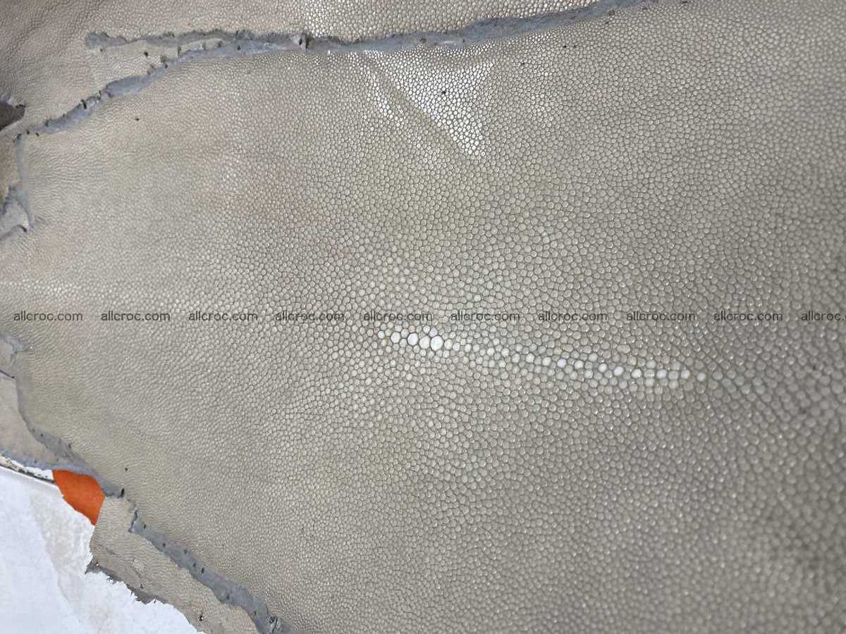 Polished stingray leather 6 inches long shape 2399 Foto 0