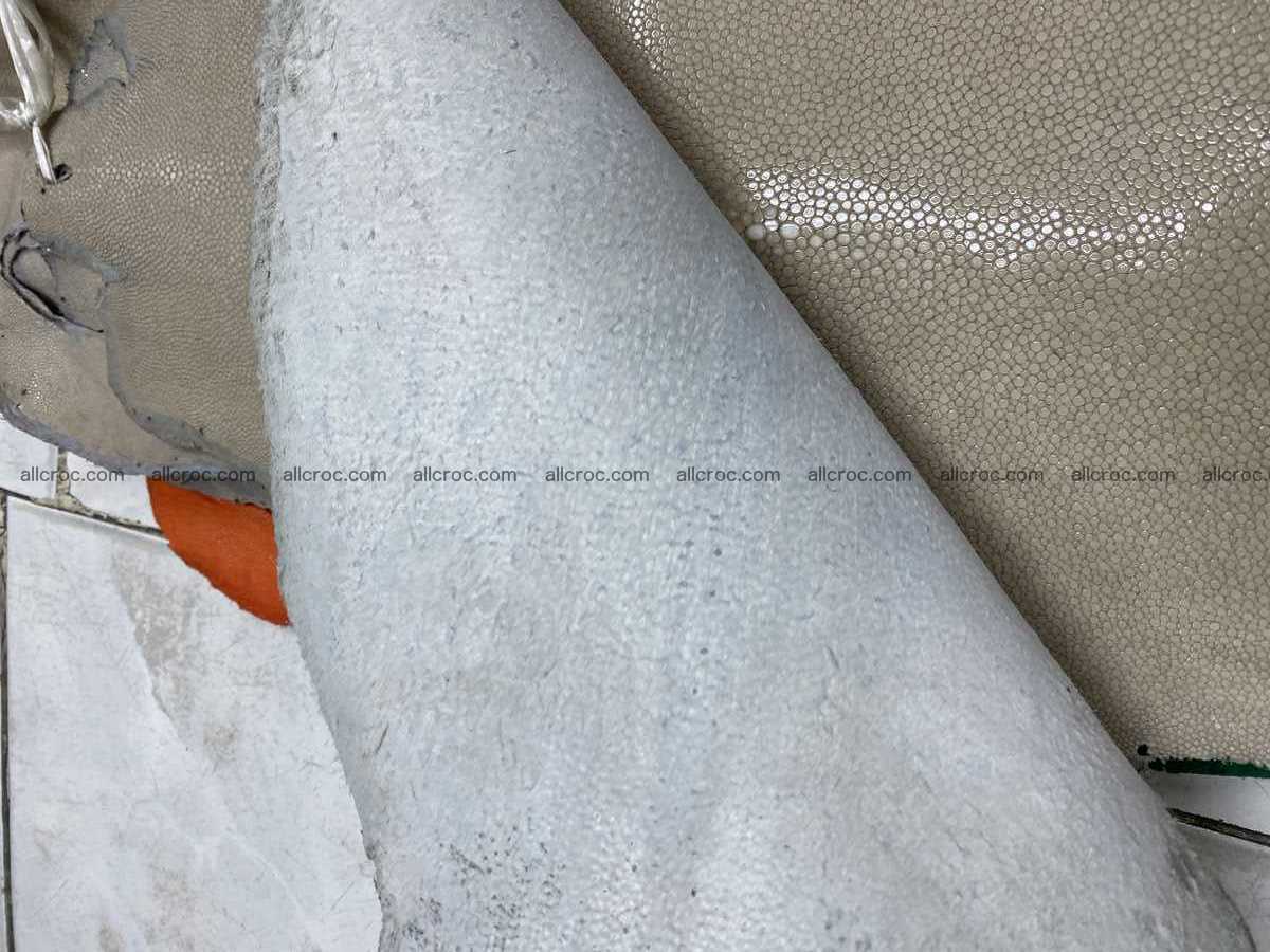 Polished stingray leather 6 inches long shape 2399 Foto 2