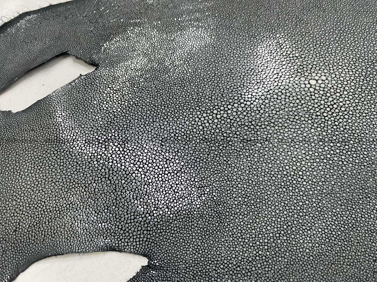 Polished stingray leather 11 inches round shape 2359 Foto 1