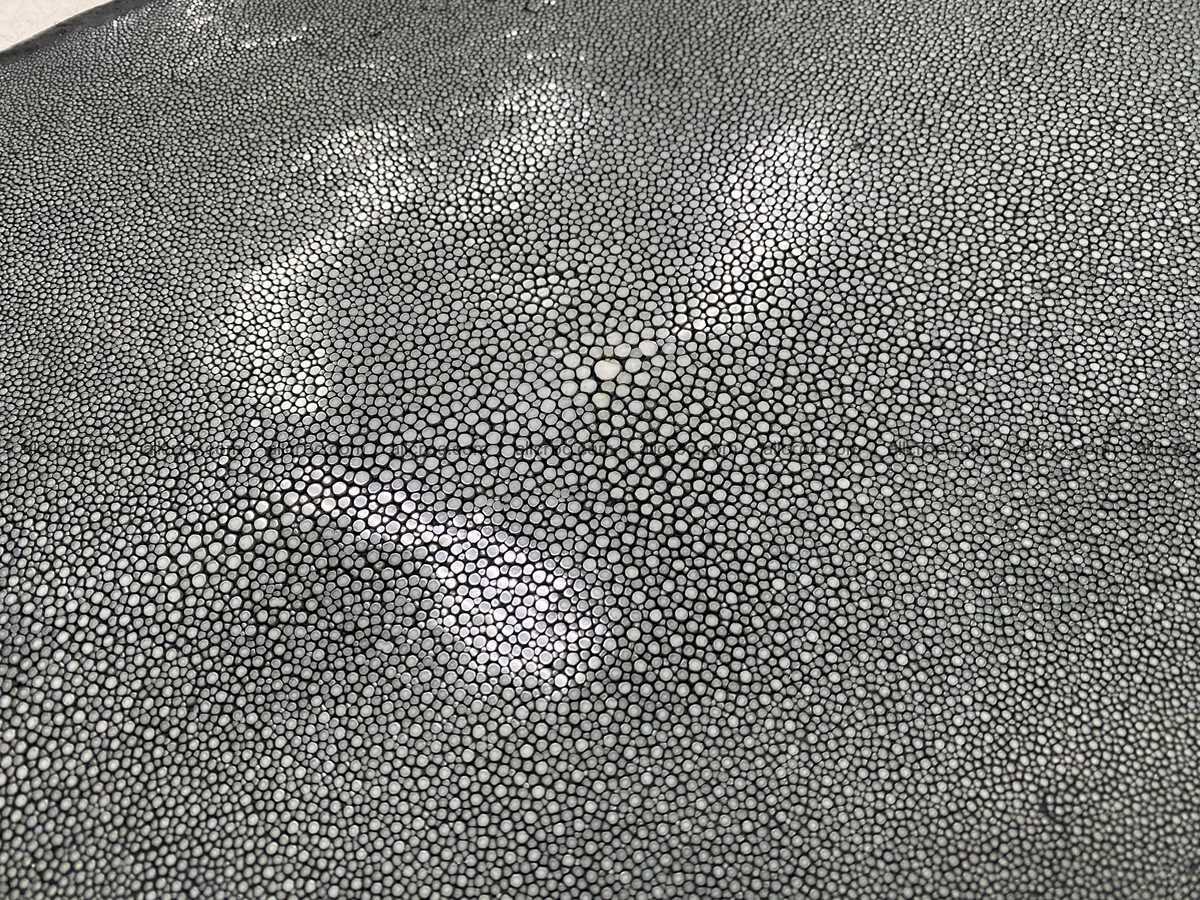 Polished stingray leather 11 inches round shape 2359 Foto 2