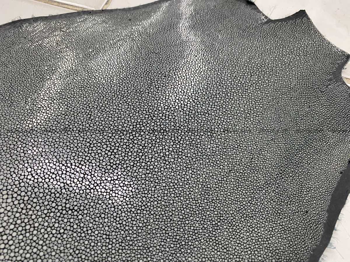 Polished stingray leather 11 inches round shape 2359 Foto 3