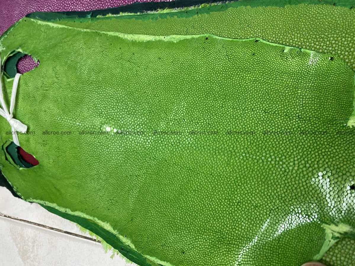 Polished stingray leather 6 inches long shape 2401 Foto 0