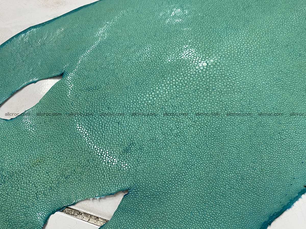 Polished stingray leather 12 inches round shape 2360 Foto 1