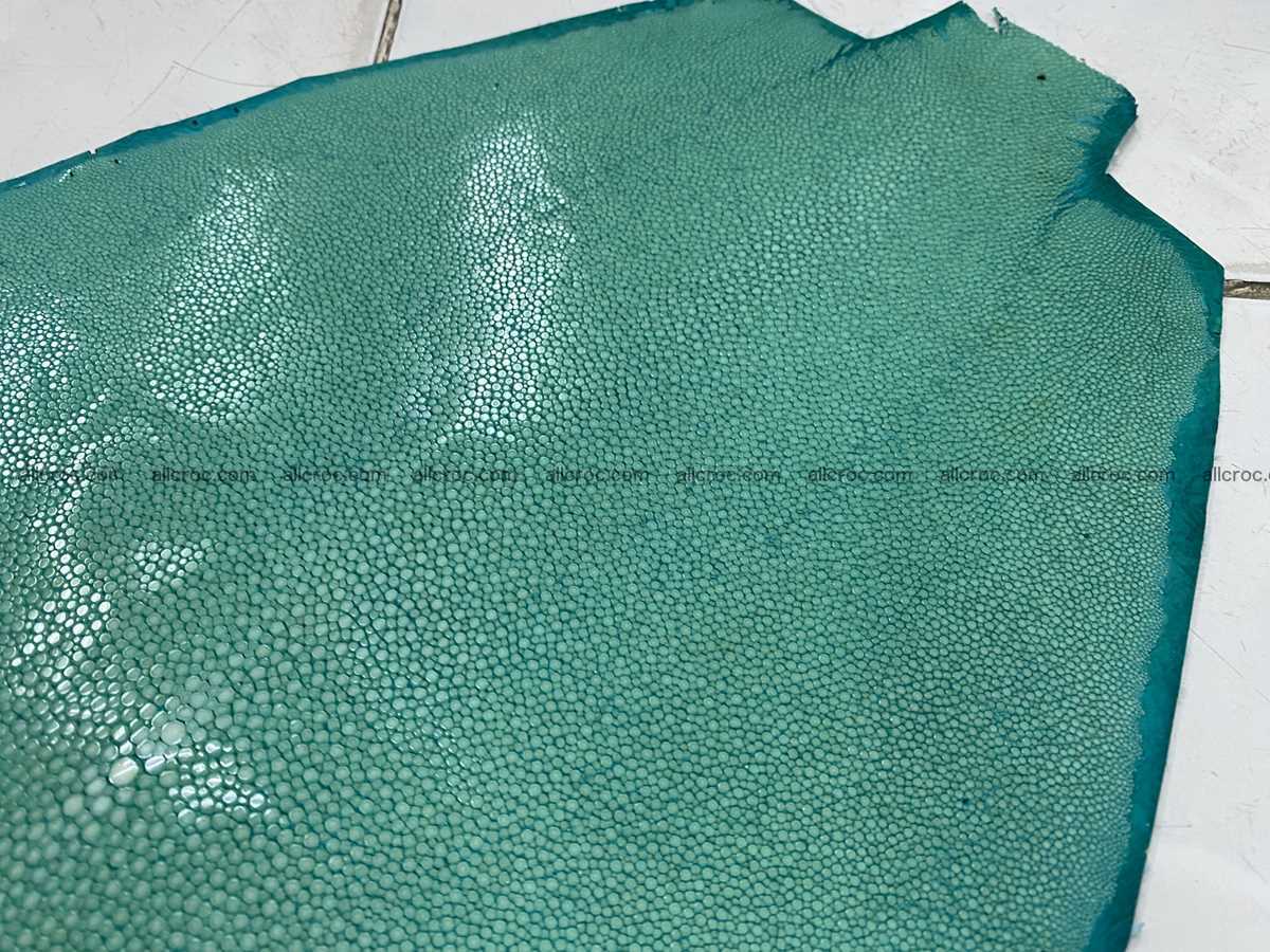 Polished stingray leather 12 inches round shape 2360 Foto 3