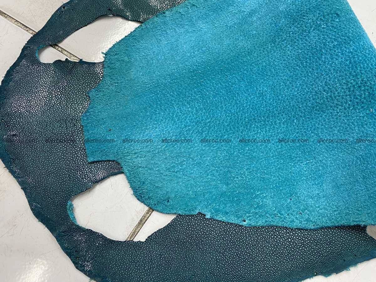 Polished stingray leather 9 inches round shape 2367 Foto 4