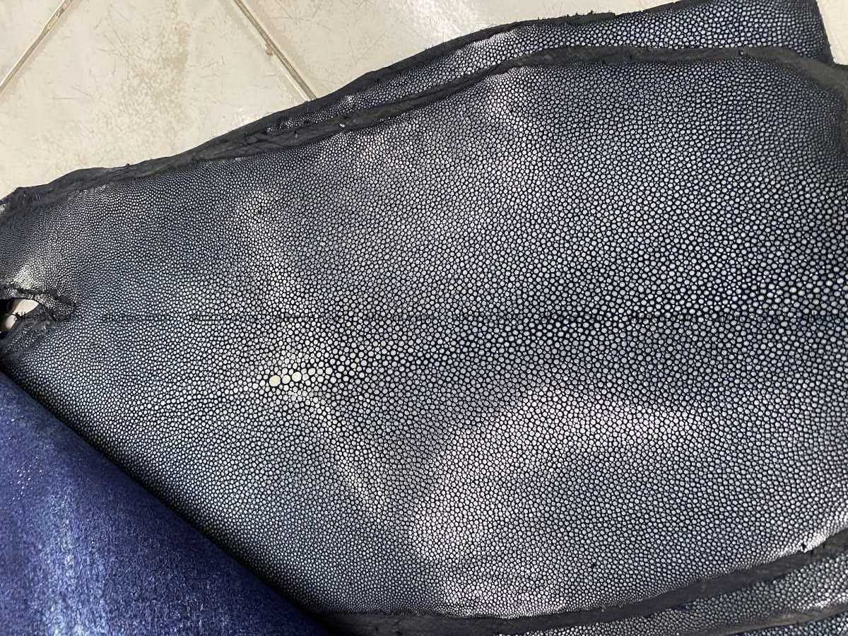 Polished stingray leather 7 inches long shape 2392 Foto 1