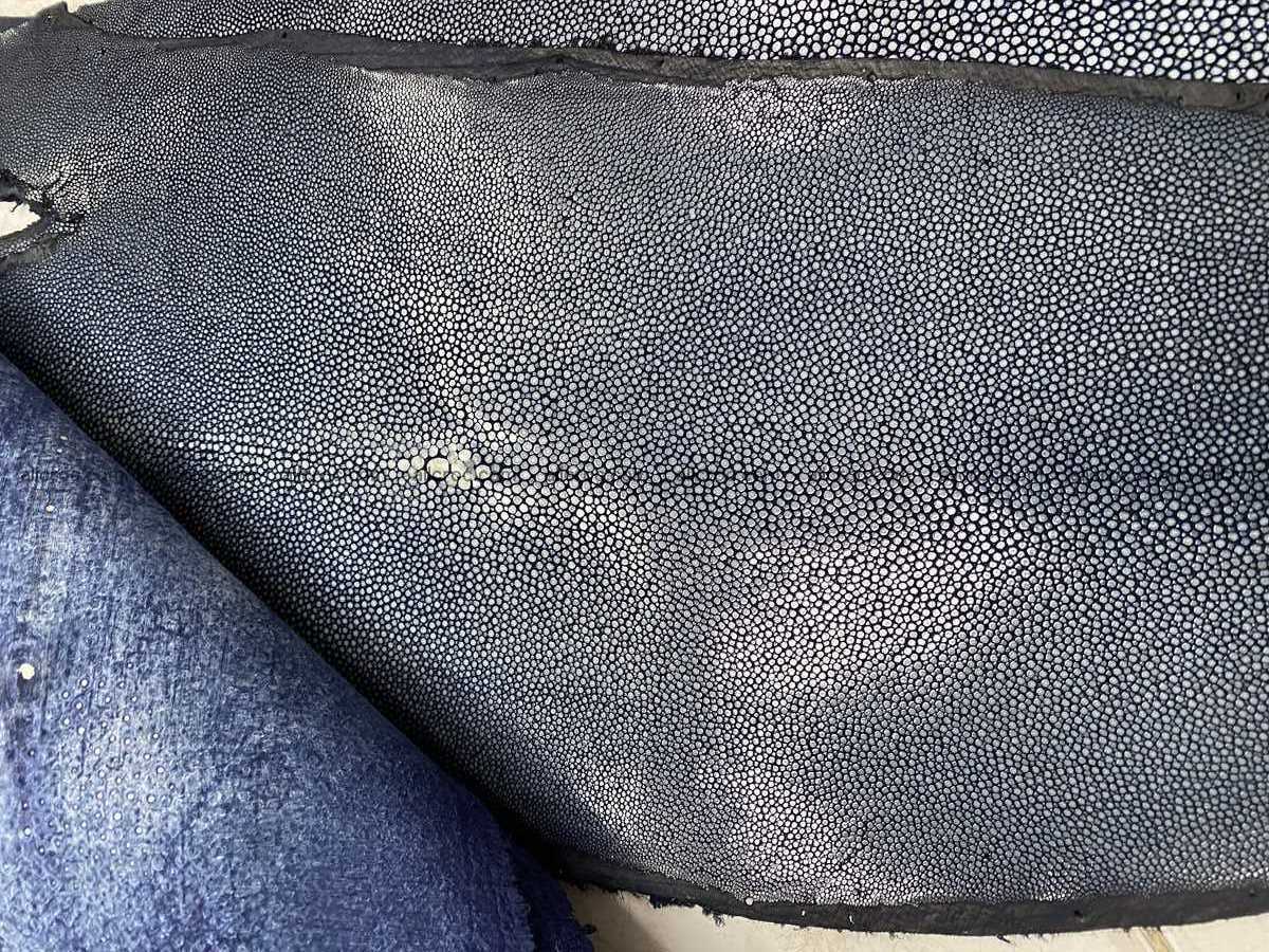 Polished stingray leather 8 inches long shape 2393 Foto 1