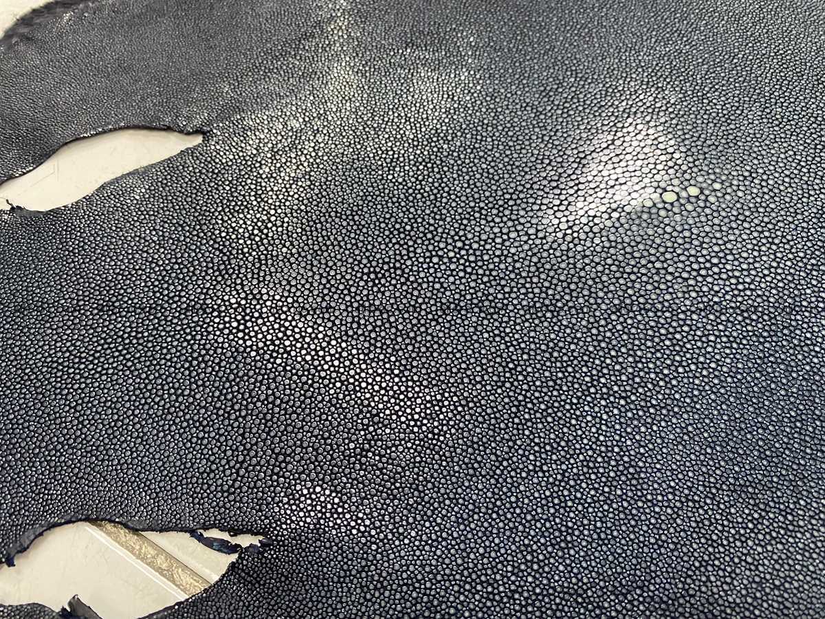 Polished stingray leather 9 inches round shape 2355 Foto 1