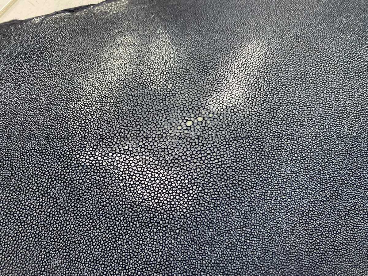 Polished stingray leather 9 inches round shape 2355 Foto 3