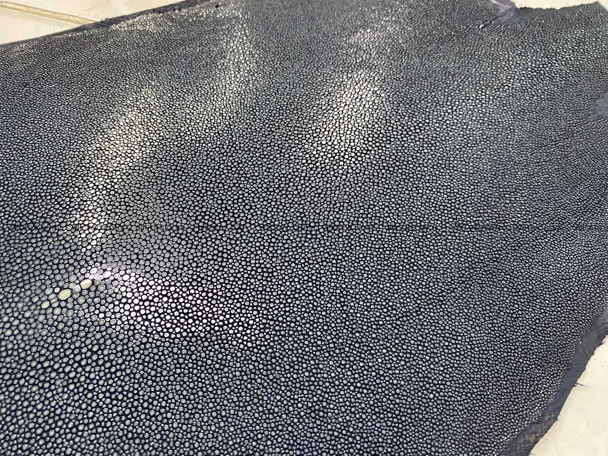 Polished stingray leather 9 inches round shape 2355 Foto 2