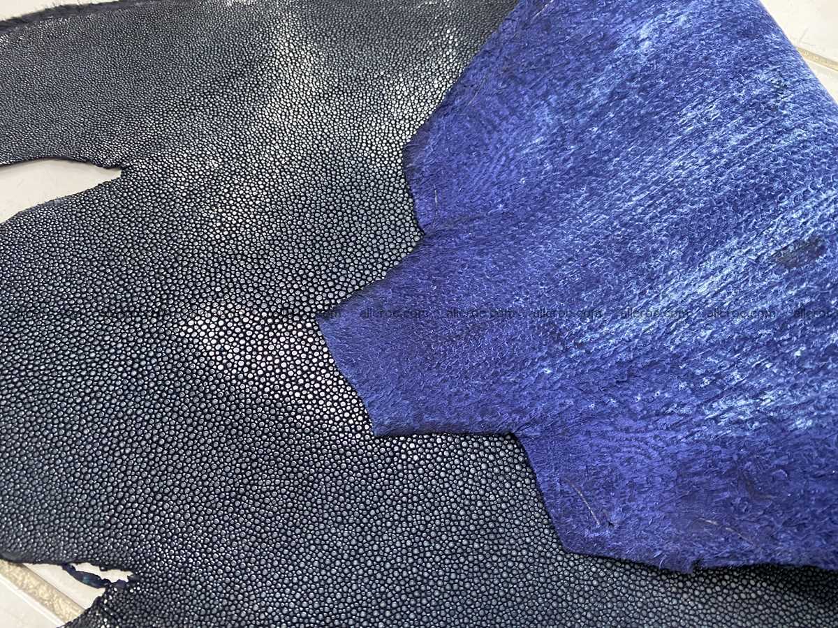 Polished stingray leather 9 inches round shape 2355 Foto 4