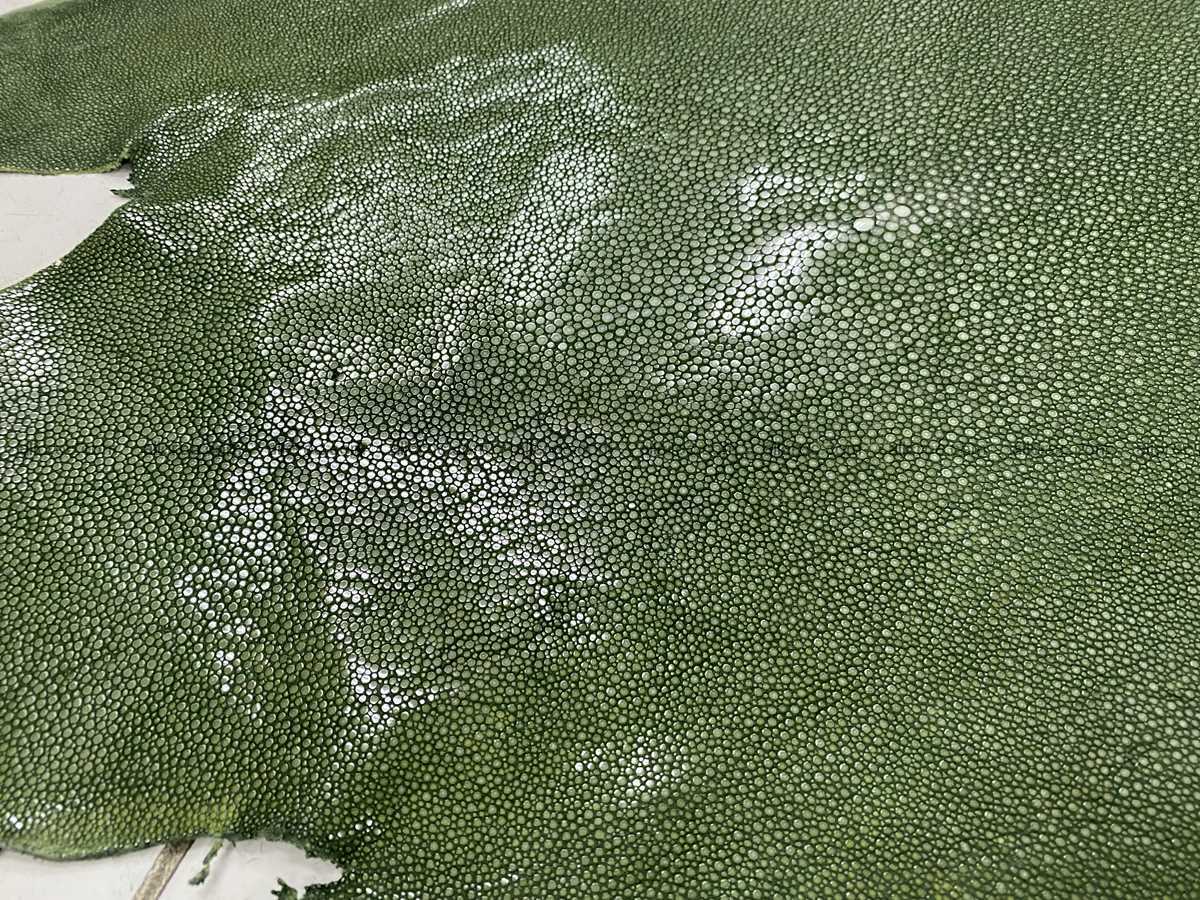 Polished stingray leather 10 inches round shape 2368 Foto 2