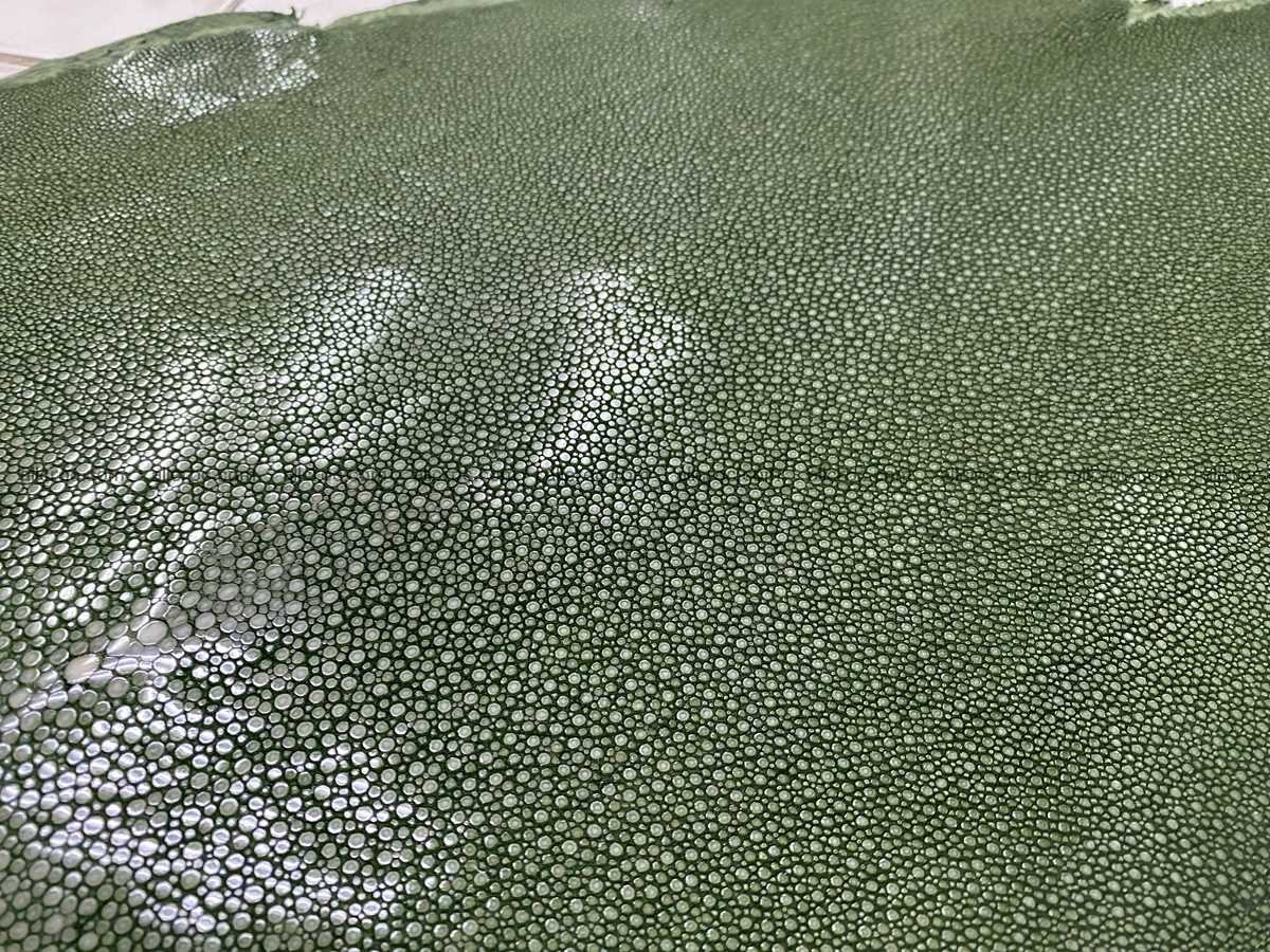 Polished stingray leather 10 inches round shape 2368 Foto 1