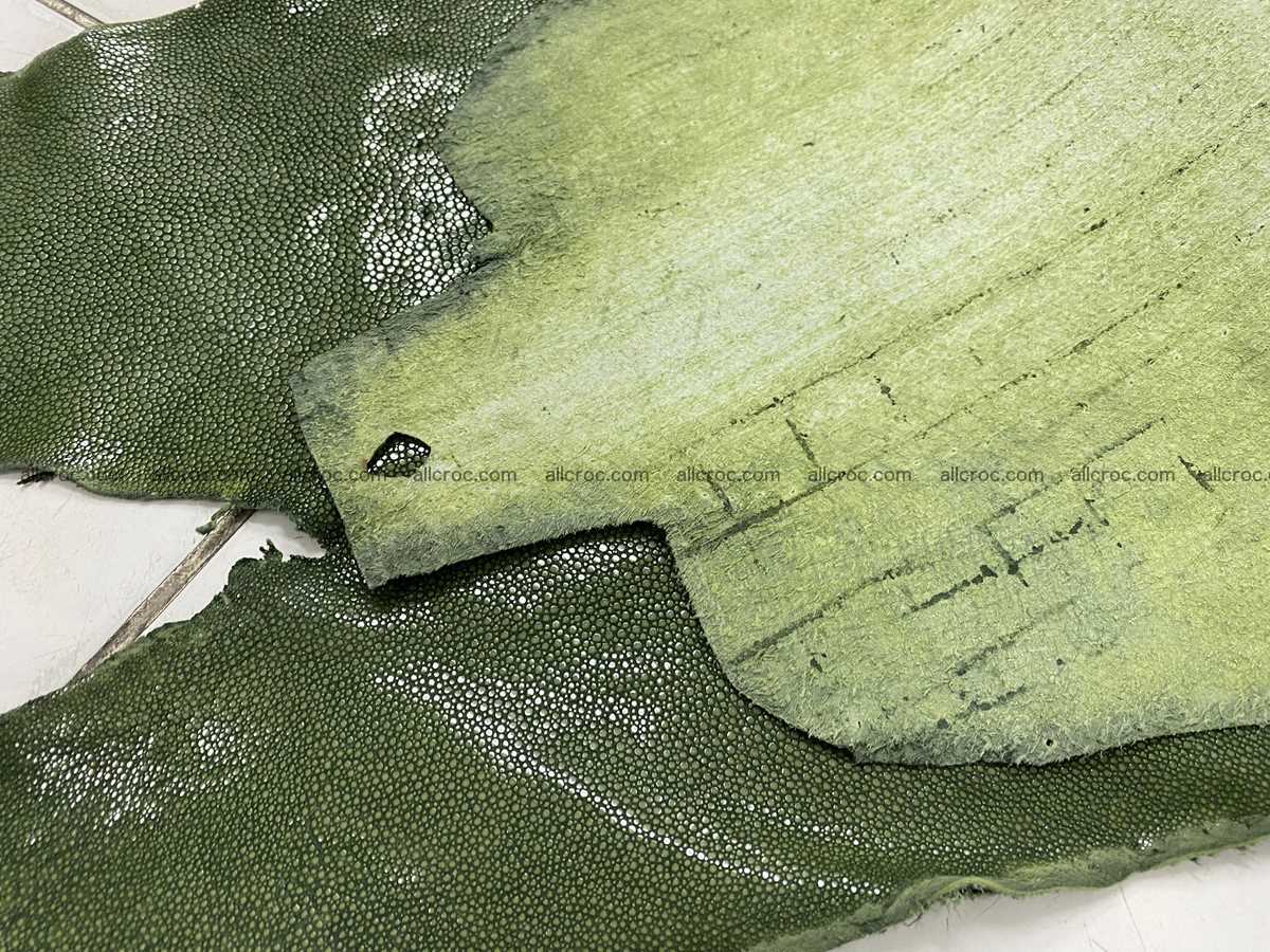 Polished stingray leather 10 inches round shape 2368 Foto 4