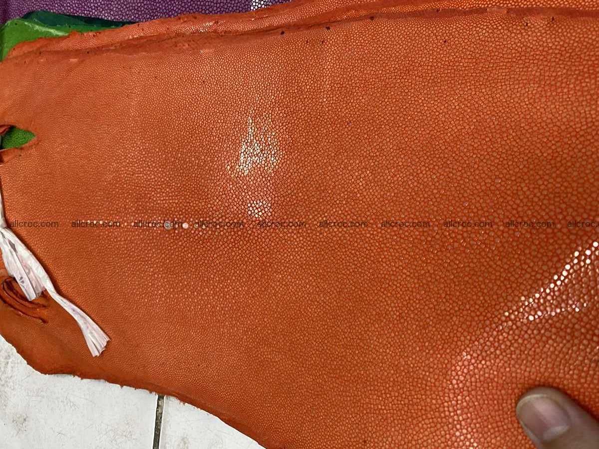 Polished stingray leather 9 inches long shape 2400 Foto 1