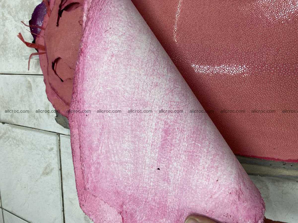 Polished stingray leather 7 inches long shape 2398 Foto 1