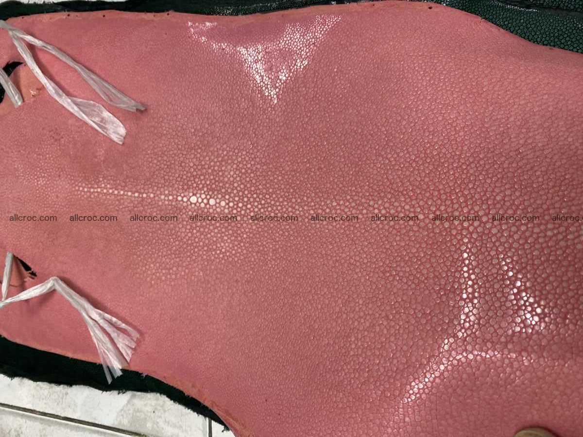 Polished stingray leather 9 inches long shape 2403 Foto 1