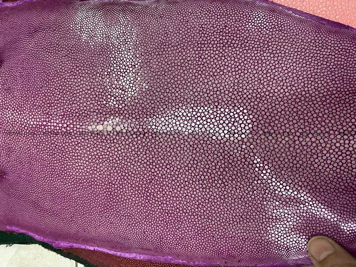 Polished stingray leather 8 inches long shape 2402 Foto 1
