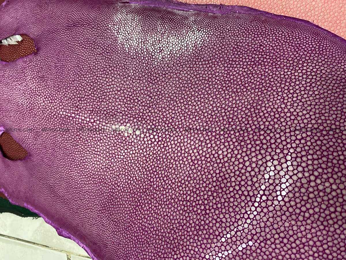 Polished stingray leather 8 inches long shape 2402 Foto 0