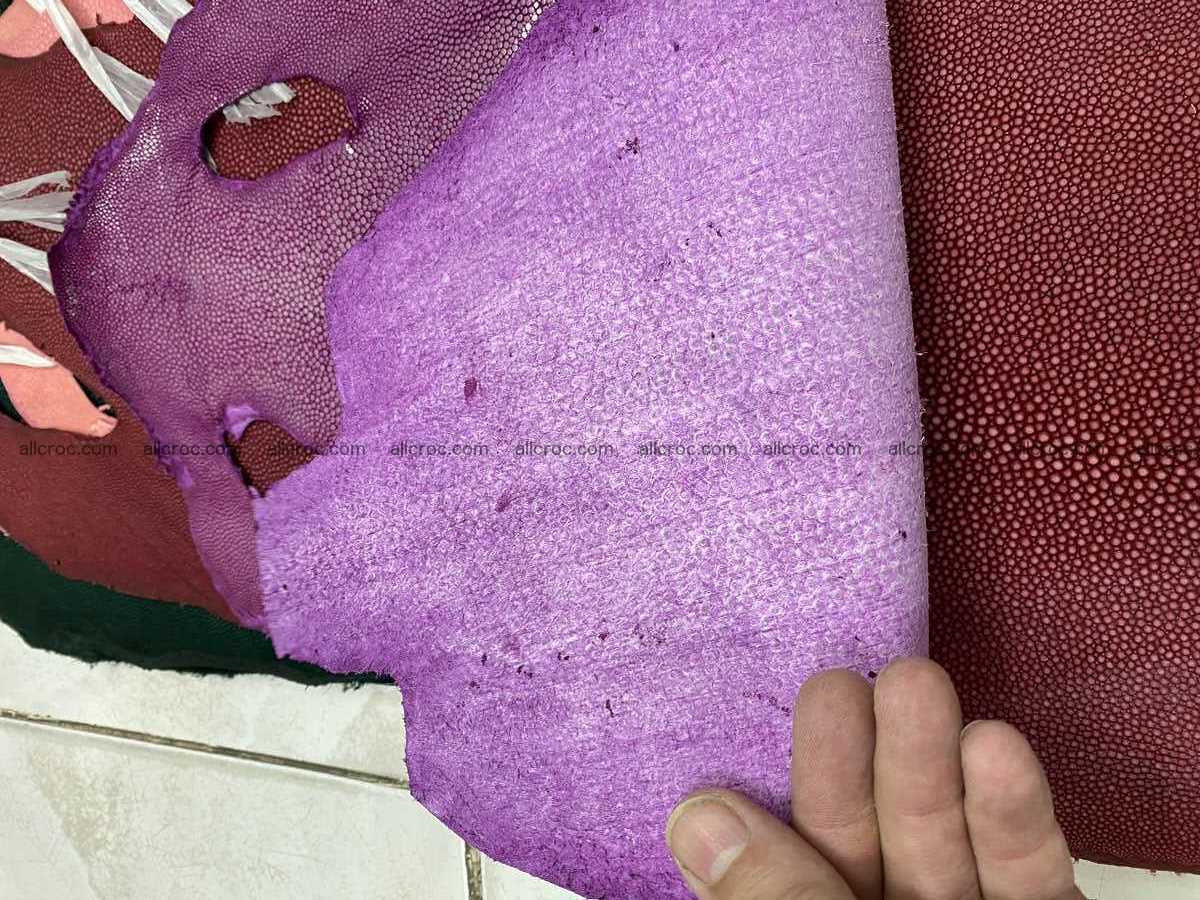 Polished stingray leather 8 inches long shape 2402 Foto 2