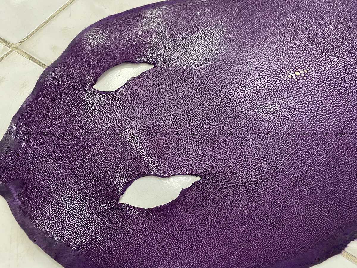 Polished stingray leather 11 inches round shape 2366 Foto 1