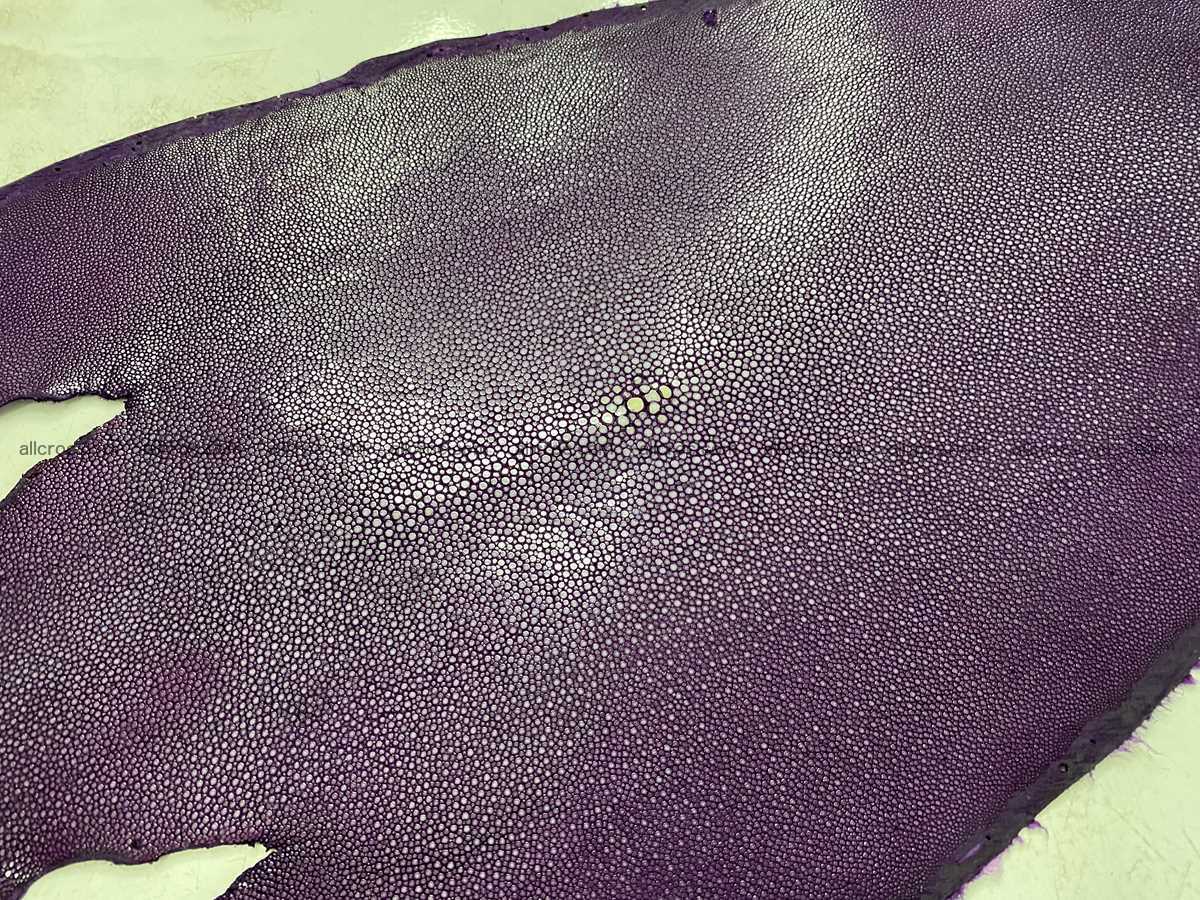 Polished stingray leather 11 inches round shape 2366 Foto 3