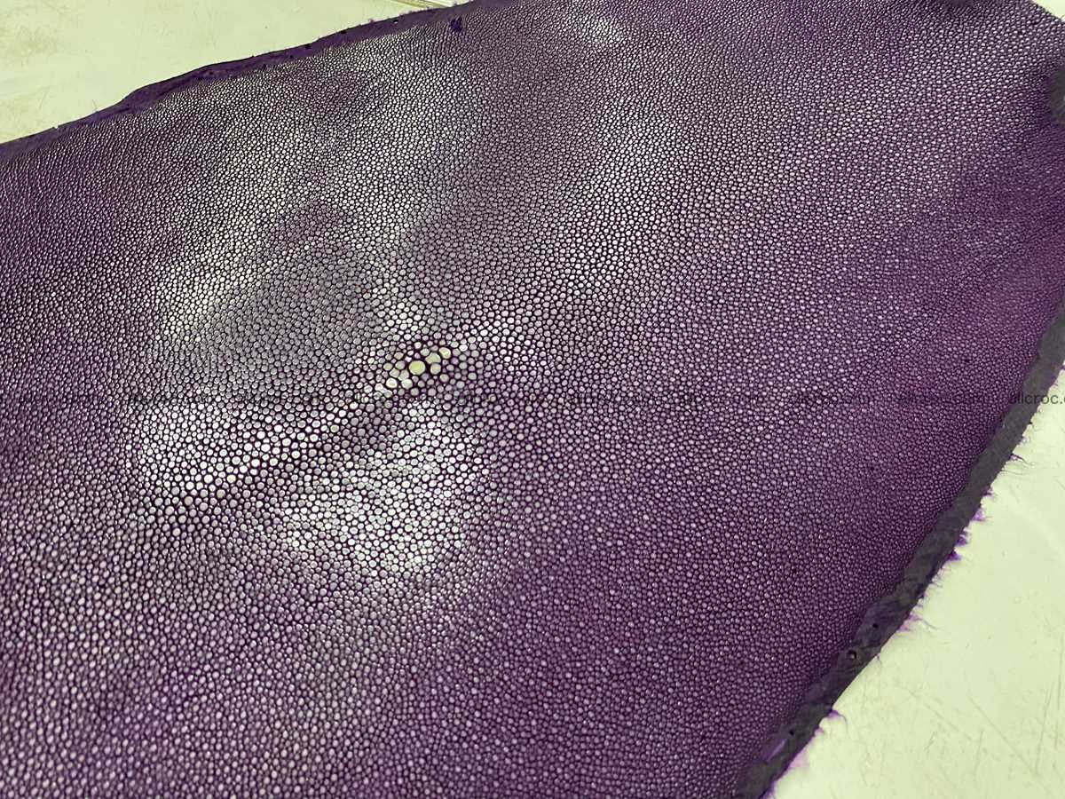 Polished stingray leather 11 inches round shape 2366 Foto 2