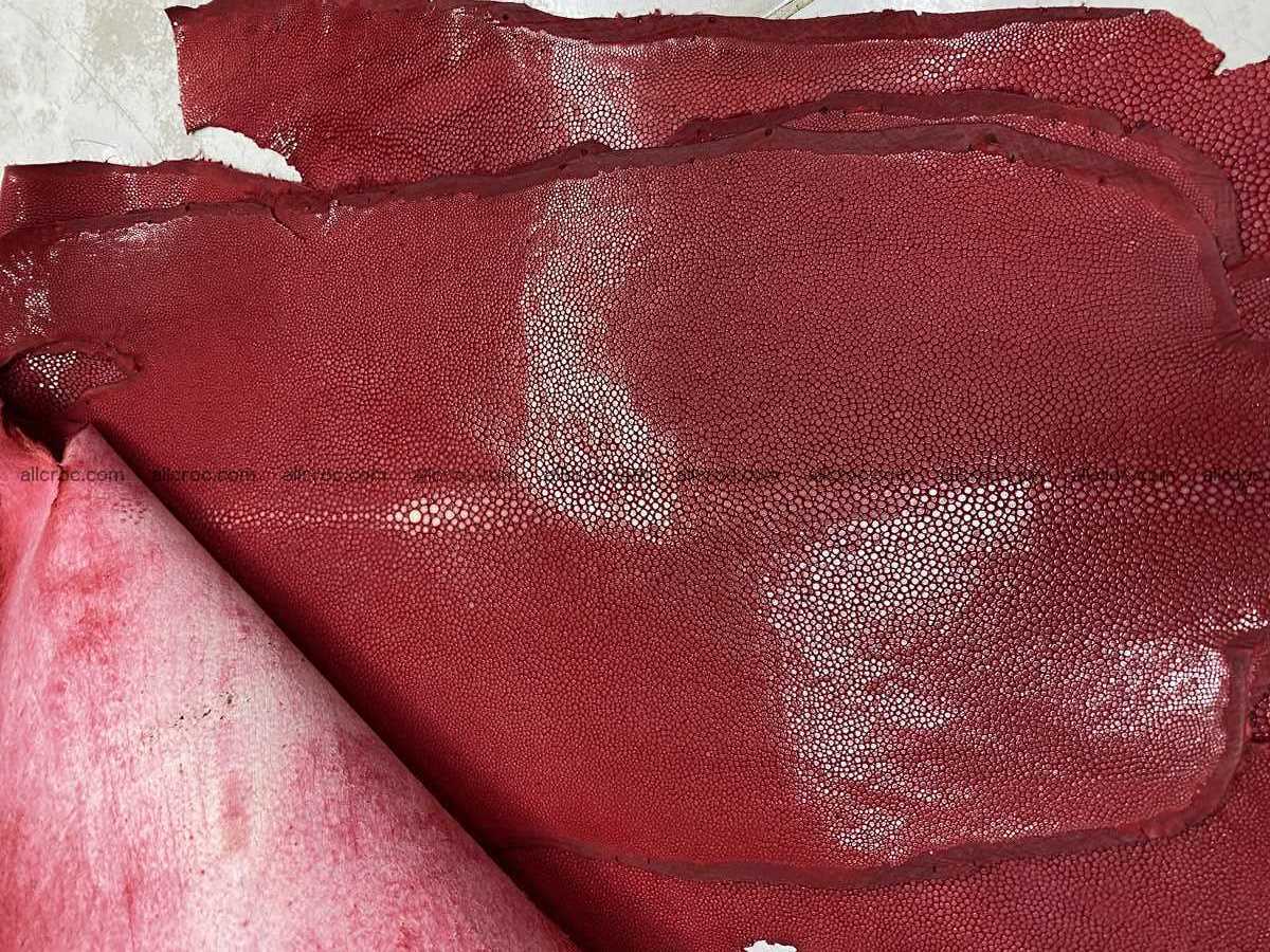 Polished stingray leather 8 inches long shape 2389 Foto 1