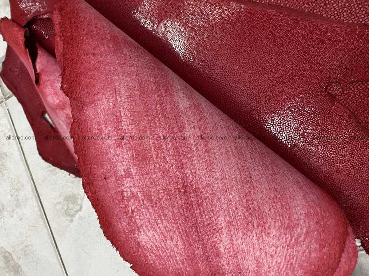 Polished stingray leather 8 inches long shape 2389 Foto 2