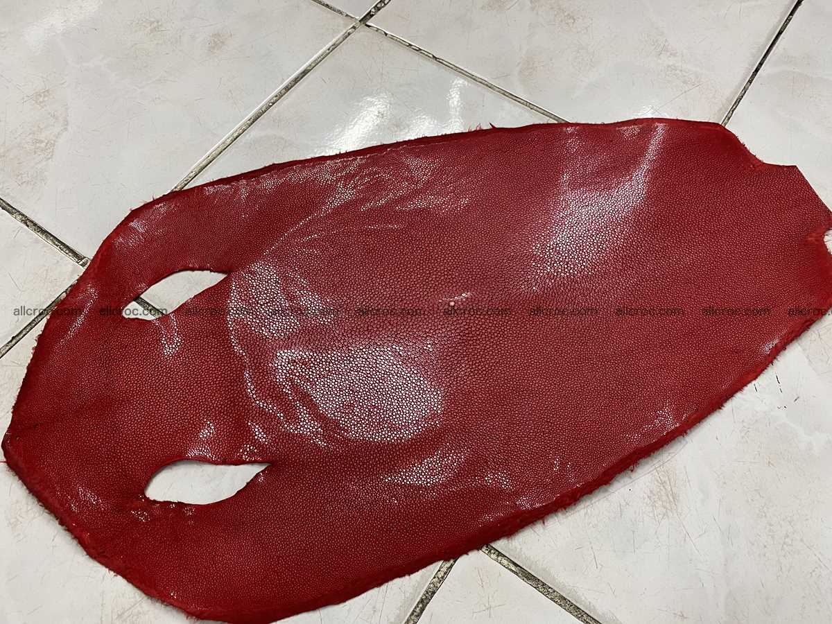 Polished stingray leather 12 inches round shape 2364 Foto 0