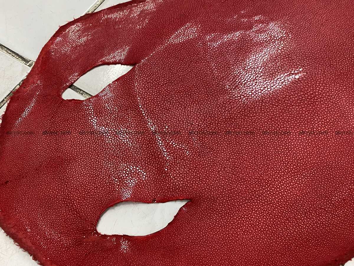 Polished stingray leather 12 inches round shape 2364 Foto 1
