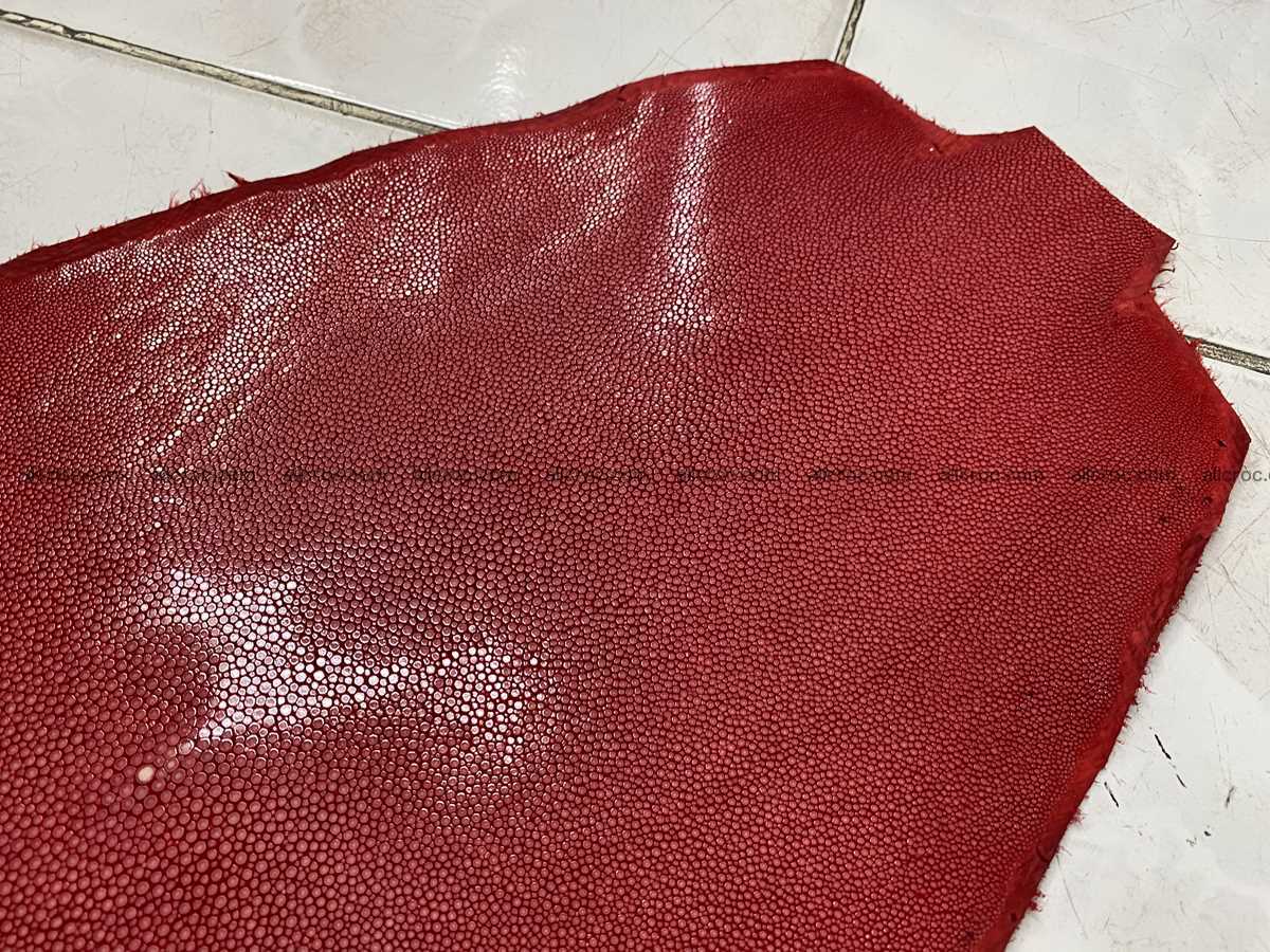 Polished stingray leather 12 inches round shape 2364 Foto 3