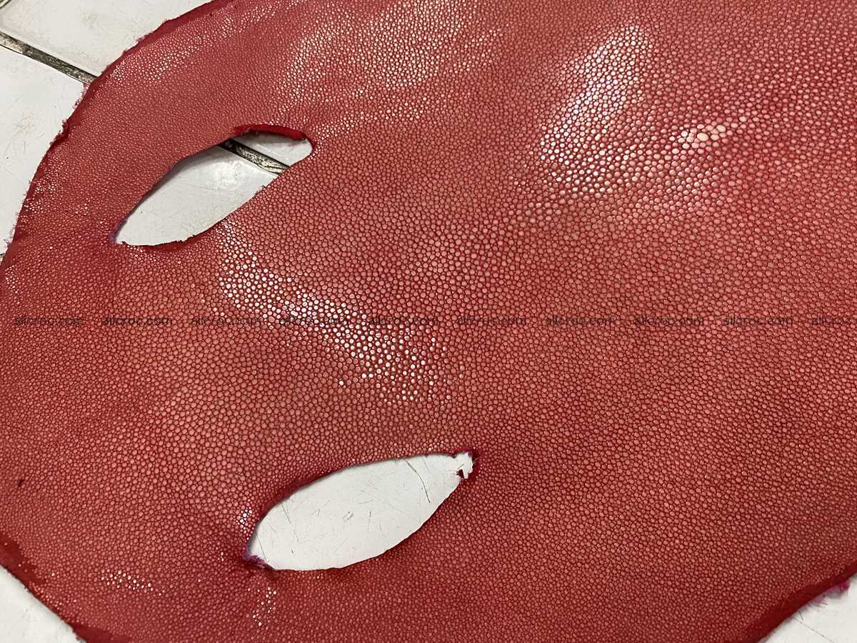 Polished stingray leather 10 inches round shape 2365 Foto 1